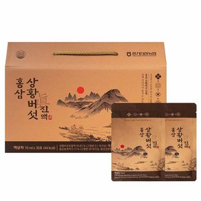 풍기인삼농협 홍삼 상황버섯 진액, 70ml, 30개