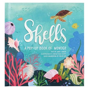 Shells : A Pop-up Book of Wonde, Jumping Jack Pess