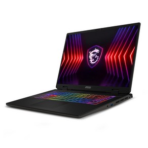 MSI 2024 스워드 17 HX 코어i7 인텔 14세대 지포스 RTX 4060, 그레이블랙, 512GB, 16GB, Fee DOS, B14VFKG QHD (056)