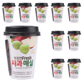 하늘청 사과 매실, 250ml, 10개