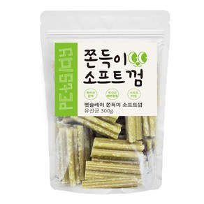 펫슬레이 강아지 쫀득이 소프트 껌, 유산균, 300g, 1개