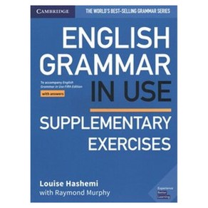 English Grammar in Use Supplementary Exercises Book with Answers