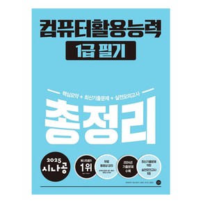 2025 시나공 컴퓨터활용능력 1급 필기 총정리