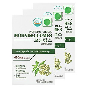 모닝컴스 아유르베딕 포뮬라 퀵 케어 캡슐 4.5g, 10정, 3개