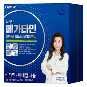 락티브 메가타민 활력엔 비타민B 컴플렉스 84g