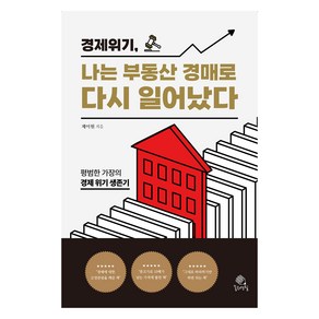 경제 위기 나는 부동산 경매로 다시 일어났다:평범한 가장의 경제 위기 생존기