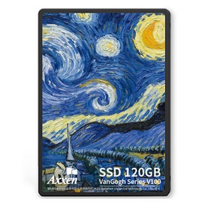 액센 V100 SSD Van Gogh Series SATA3.2