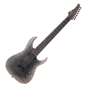 Schecter 일렉기타