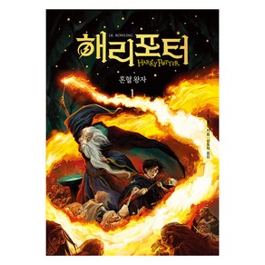 해리 포터와 혼혈 왕자 1 무선, 도서, 문학수첩, J.K. 롤링