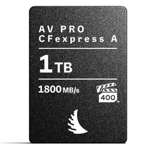 엔젤버드 AV PRO CFexpess Type A MK2 CF카드, 1TB, 1개