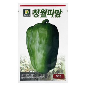 다농 청월피망 씨앗 30p, 1개