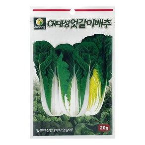 다농 CR대성엇갈이 배추 씨앗 20g, 1개