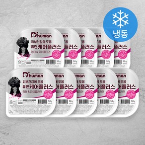 듀먼 전연령 강아지 케어플러스 피부건강 화식사료, 50g, 10개, 흰살생선