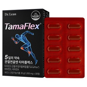 닥터린 5일의 약속 관절연골엔 타마플렉스 30g, 1개, 30정