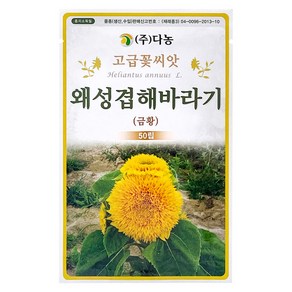 다농 왜성겹해바라기 금황 씨앗 50립, 1개