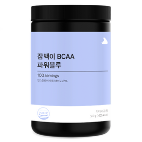 잠백이 BCAA 파워블루, 1개, 500g