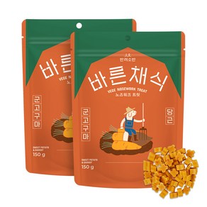 반려소반 바른채식 노즈워크 트릿