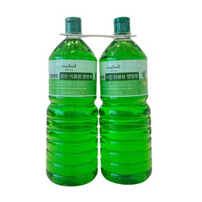 앙플랜트 종합식물용 액체영양제, 1.8L, 2개