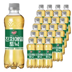 캐나다드라이 진저에일 토닉, 300ml, 24개