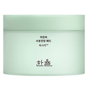 한율 어린쑥 수분진정 패드 170ml, 60개입, 1개