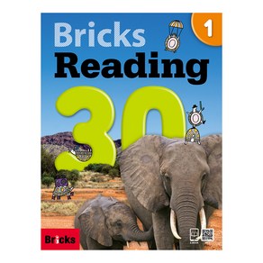 브릭스 Bricks Reading 30 1