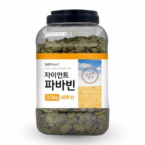 건강한밥상 페루산 자이언트 파바빈, 3.5kg, 1개