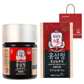 정관장 홍삼정+쇼핑백, 100g, 1개