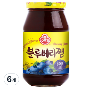 오뚜기 블루베리쨈 500G