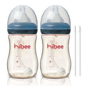 하이비 PPSU 빨대젖병 300ml 2p + 빨대솔 2p, LL(9개월이상), 그레이, 1개