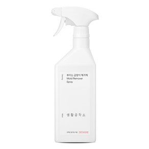 생활공작소 뿌리는 곰팡이 제거제, 750ml, 1개