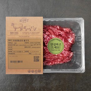 설성목장 무항생제 인증 한우 정육 1등급 불고기용 (냉장), 300g, 1개