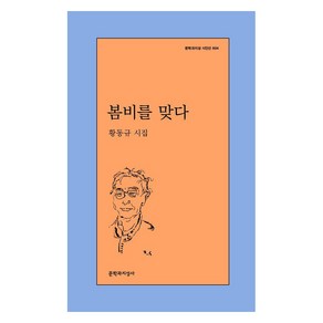 봄비를 맞다:황동규 시집