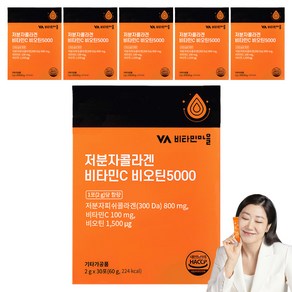 비타민마을 저분자콜라겐 비타민C 비오틴5000 30p, 60g, 6개