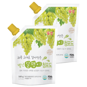 꽃샘 별난알맹이 청포도 음료베이스 500g, 2개