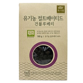 유가원 컬티베이티드 건블루베리, 160g, 1개