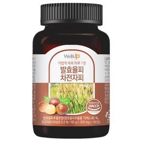 로엘 웰업 모로오렌지 발효율피 차전자피 영양제 180g, 1개, 180정