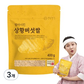 백년농가 상황버섯쌀, 400g, 3개