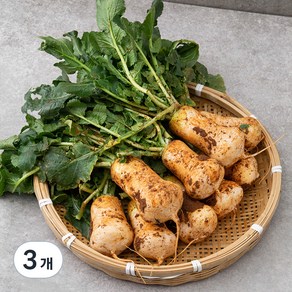 국내산 알타리무, 1kg, 3개