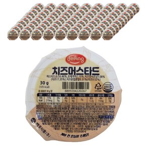 델링 치즈 머스타드, 30g, 100개