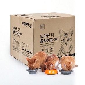 노마진 캣 올라이프 전연령용 건식 사료, 곡물, 15kg, 1개