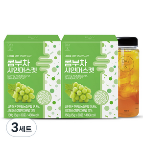 참앤들황토농원 데이앤 콤부차 샤인머스켓 5g x 60p + 전용보틀 세트, 30개입, 3세트