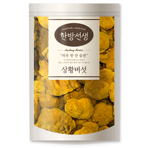 한방선생 국산 상황버섯, 100g, 1개