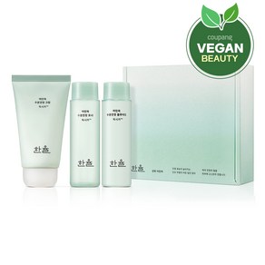 한율 어린쑥 수분진정 크림 대용량 기획세트, 65ml, 1개
