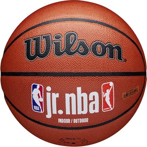 윌슨 J NBA AUTHENTIC INDOOR OUTDOOR 농구공 WZ2009801XB6, 1개