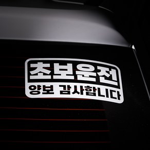 메이튼 스탠다드M 초보운전 스티커, 실버, 1개