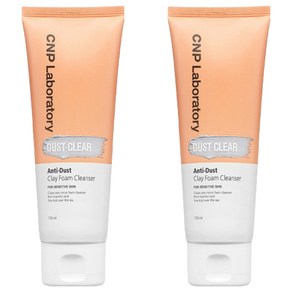 씨앤피 안티더스트 클레이 폼 클렌저, 150ml, 2개