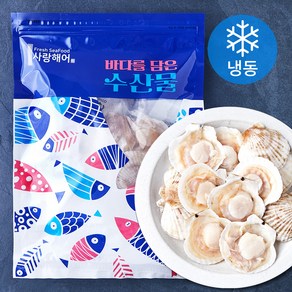 사랑해어 반가리비 21-24미 (냉동), 600g, 1팩