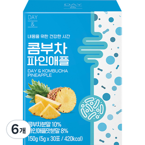 데이앤 콤부차 파인애플 30p, 5g, 30개입, 6개