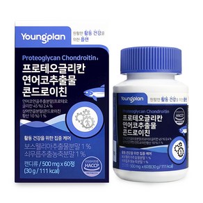 영진약품 콘드로이친 프로테오글리칸 연어코연골 60정, 30g, 1개