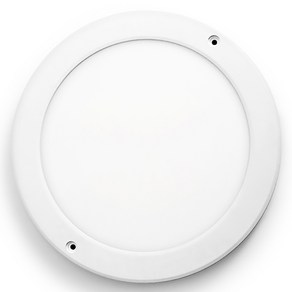 LED 엣지 슬림 원형 직부등 21W 200mm, 1개, 주광색